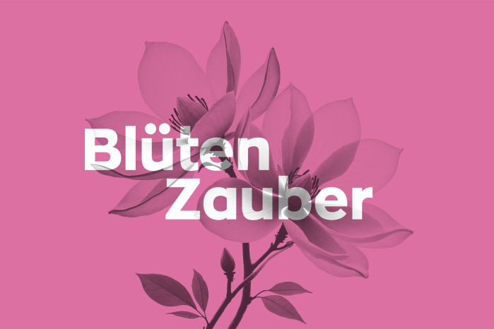 Blütenzauber in der Gärtnerei