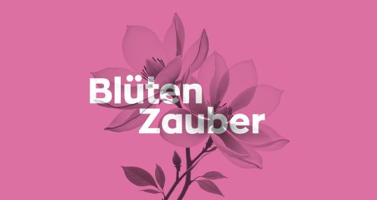 Blütenzauber in der Gärtnerei