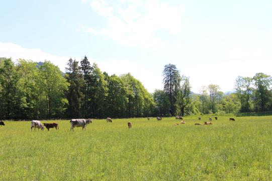 Wandern geht durch den Magen