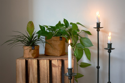 Wir gehören zu den Top 3!