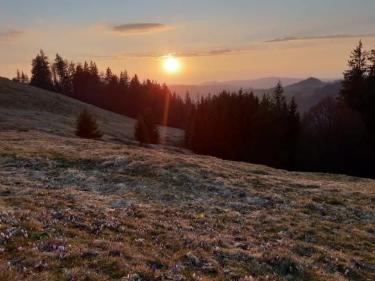 Fotowettbewerb - wer macht dieses Jahr das schönste Bild?